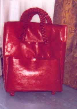 front side of red bag.jpg (9904 bytes)
